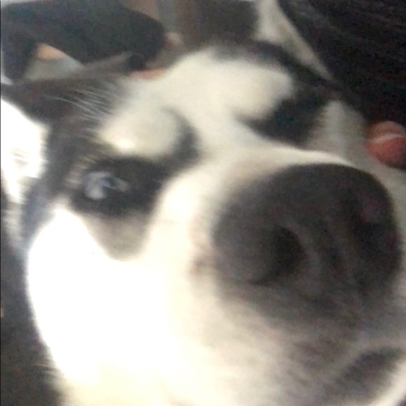 Meet your Posher, Yuritsi - Picture 1 of 1